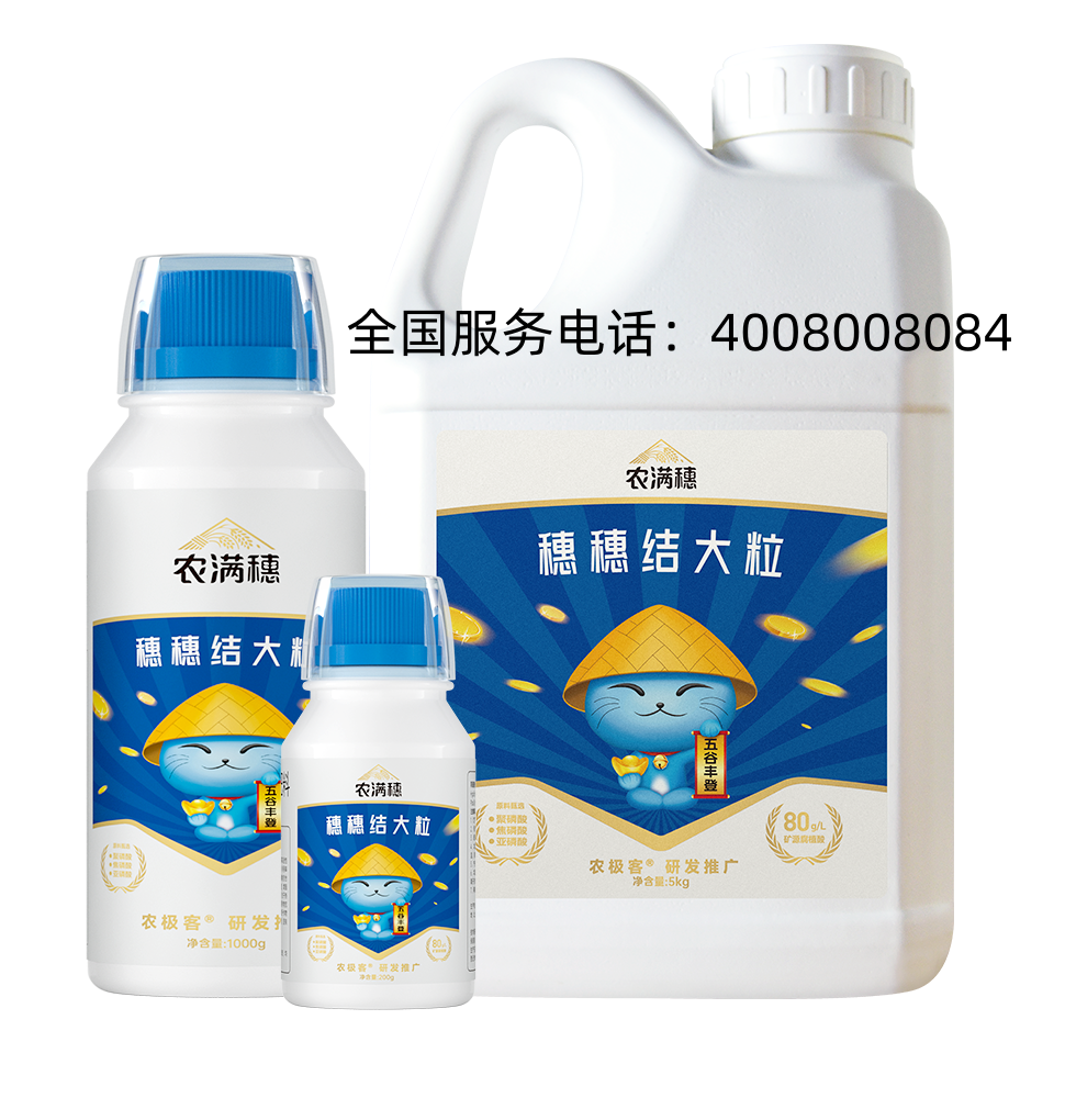 农极客濮阳线上分站